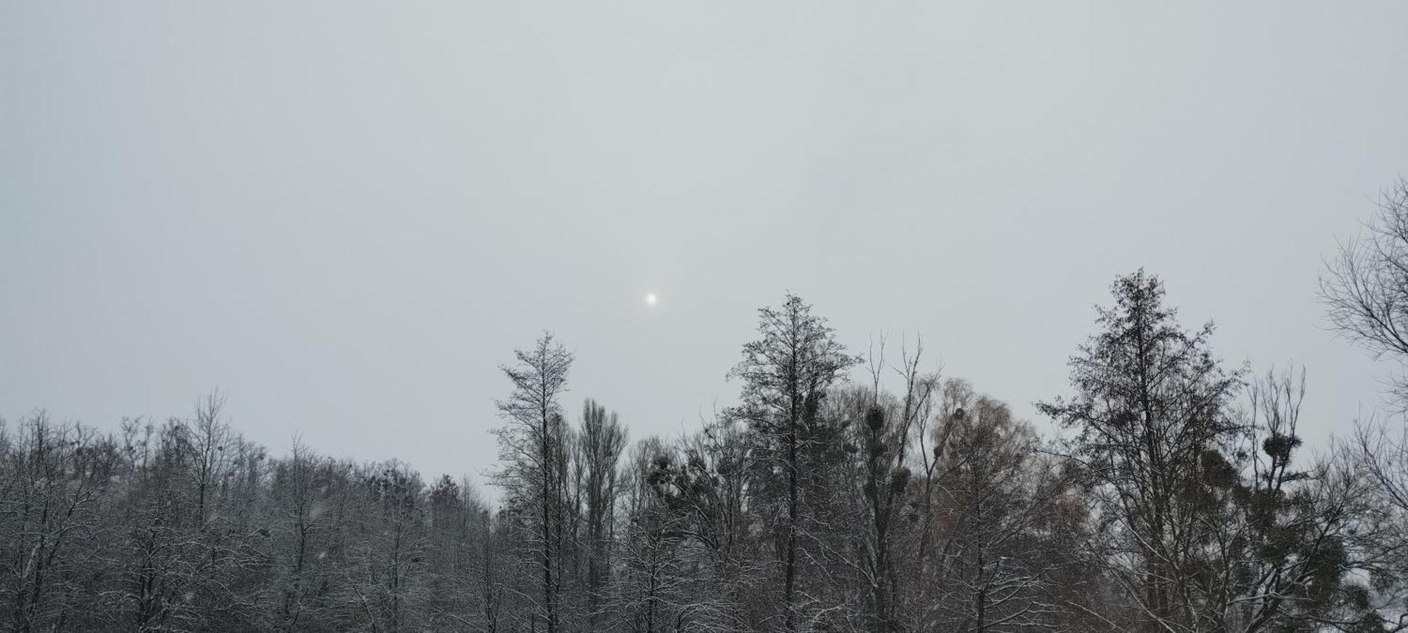 Шафран Hotell Krasnaya Slobodka Exteriör bild